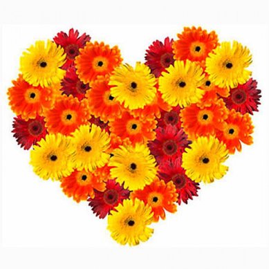 Цветочная композиция Ц7424 - Интернет-магазин Цветоград