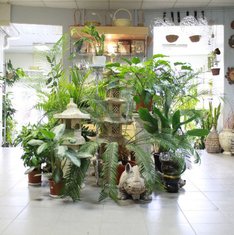 Цветочная композиция Ф6219