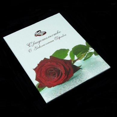 Аксессуар Б36799 - Салон аксессуаров Белый лебедь