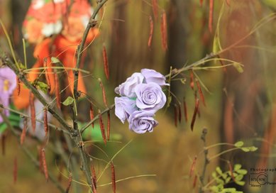 Аксессуар В57972 - Творческая мастерская Венерин башмачок