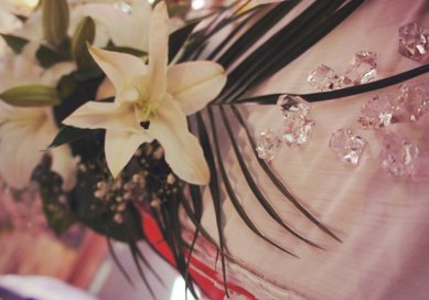 Аксессуар Я58106 - Cтудия Ярко